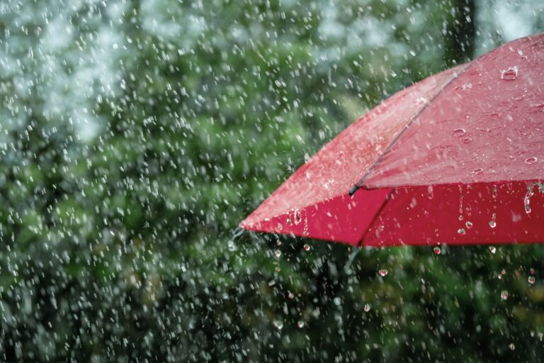 Cosa fare a Scandiano quando piove