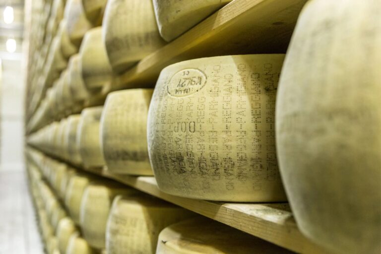 Weekend enogastronomico tra Reggio Emilia, Modena e Parma